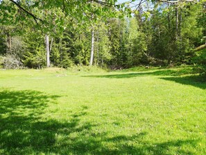 Ein grasbewachsenes Feld mit Bäumen im Hintergrund.