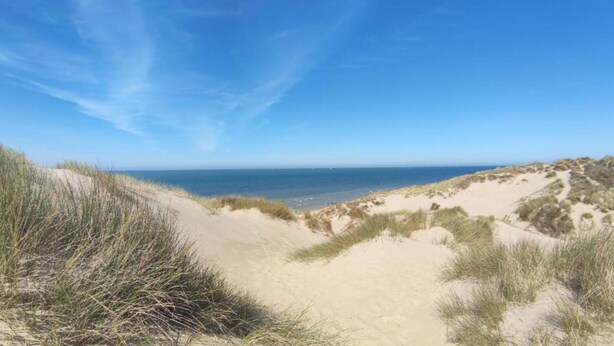 Un paisaje costero con dunas de arena y un cielo azul despejado.
