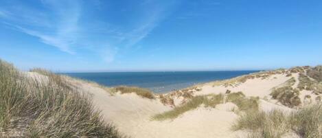 House | View from property