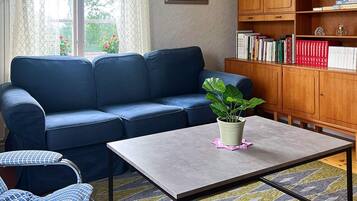Una sala de estar con un sofá azul, una mesita con una planta, una estantería y un tapete estampado.
