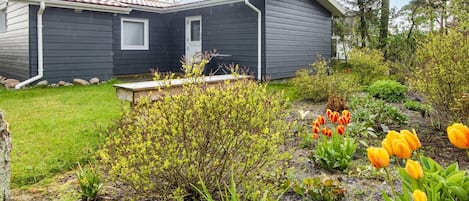 House | Property grounds