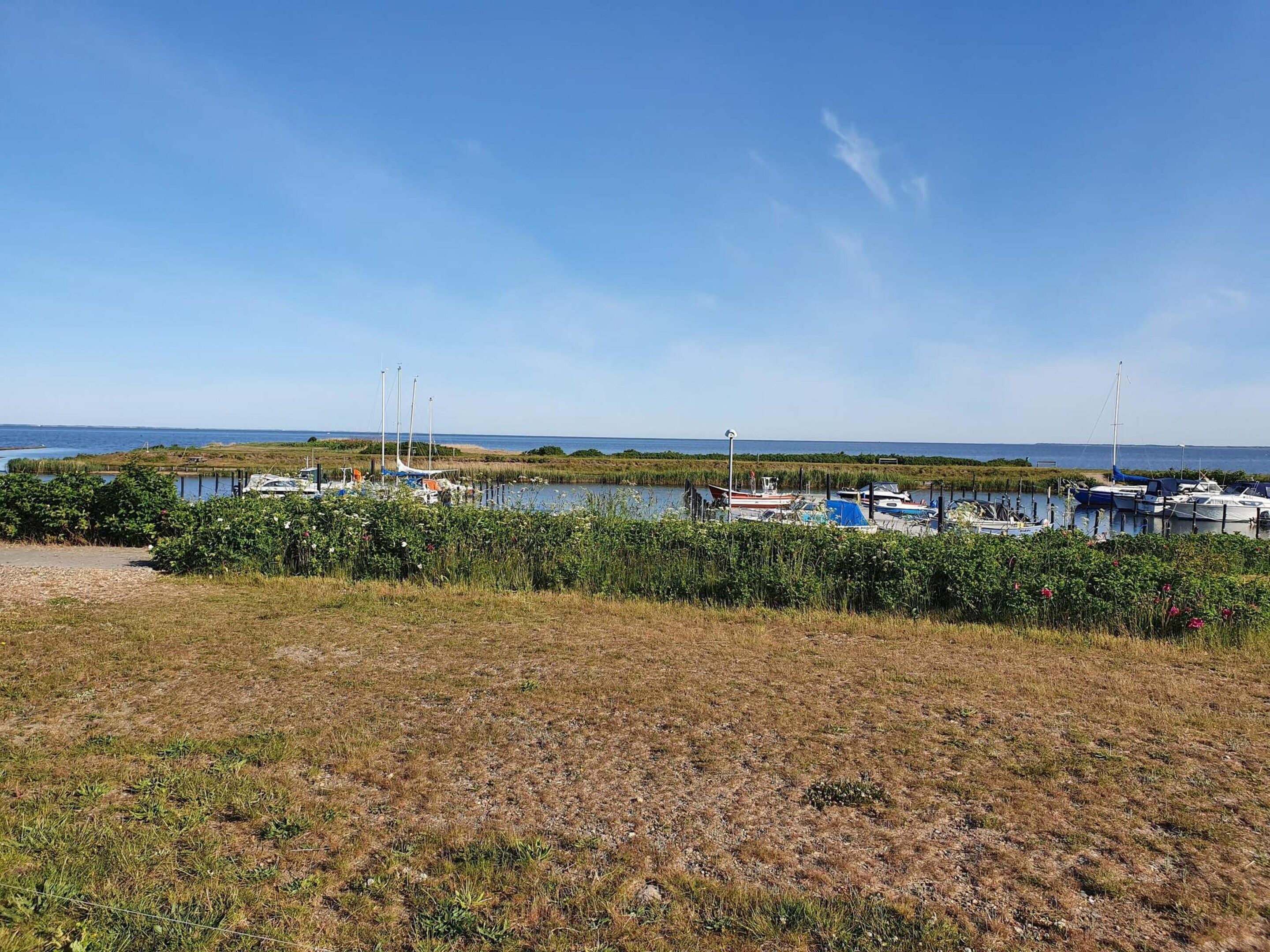 Un puerto deportivo con barcos amarrados, un primer plano con césped y un cielo despejado.