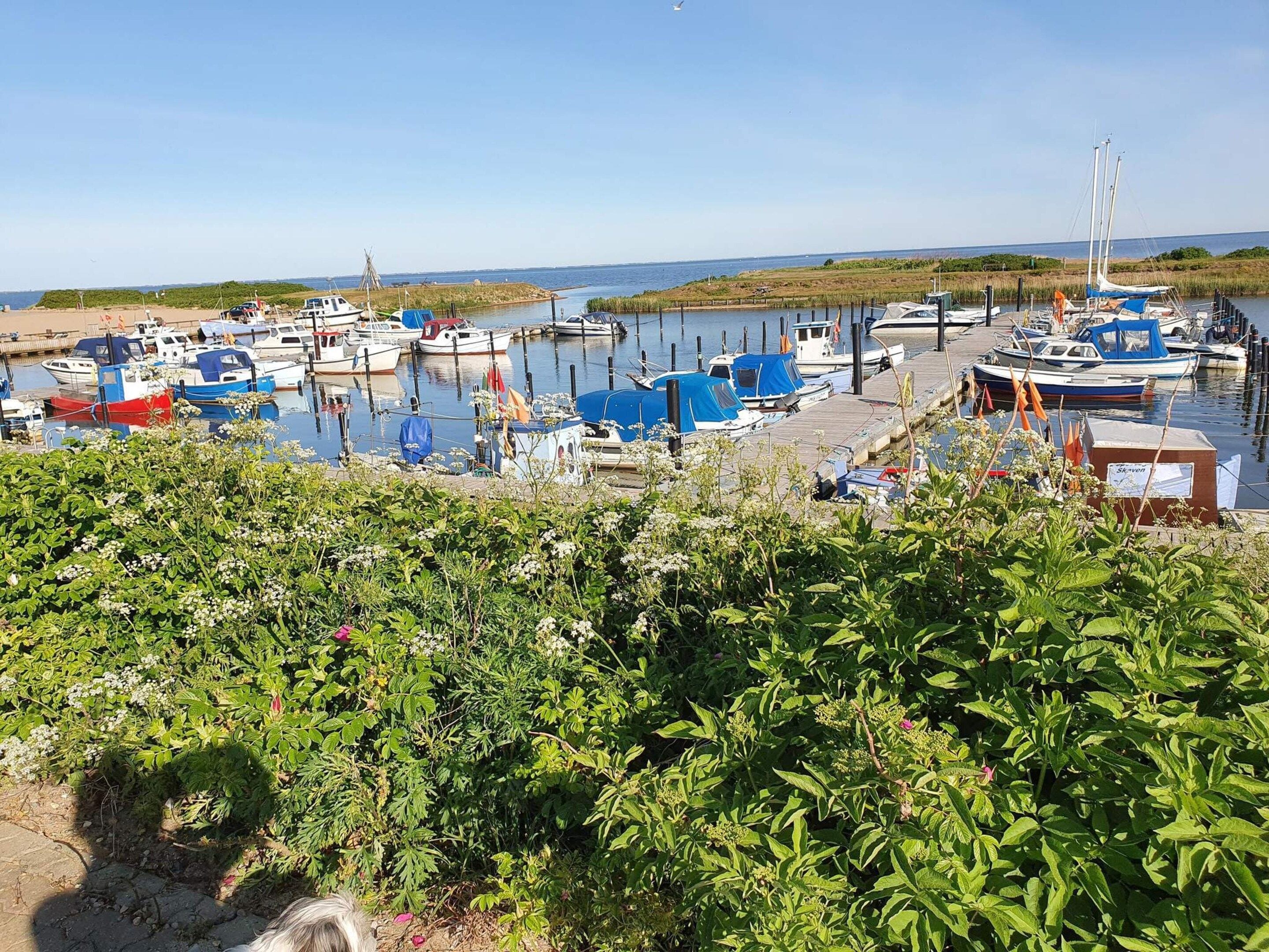 Uma marina com barcos atracados, rodeada por vegetação e um céu limpo.