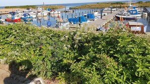 A marina with boats docked, surrounded by greenery and a clear sky. - 5 Person Holiday Home in Tarm (Tarm)