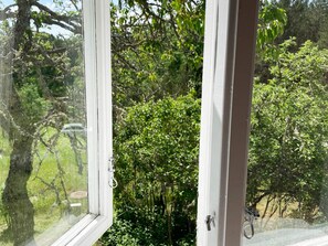 Ein Fenster mit Blick auf einen Baum und eine Straße.