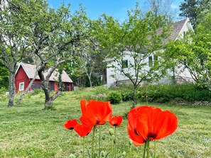 Un paisaje rural con un granero rojo, una casa blanca y amapolas en primer plano.