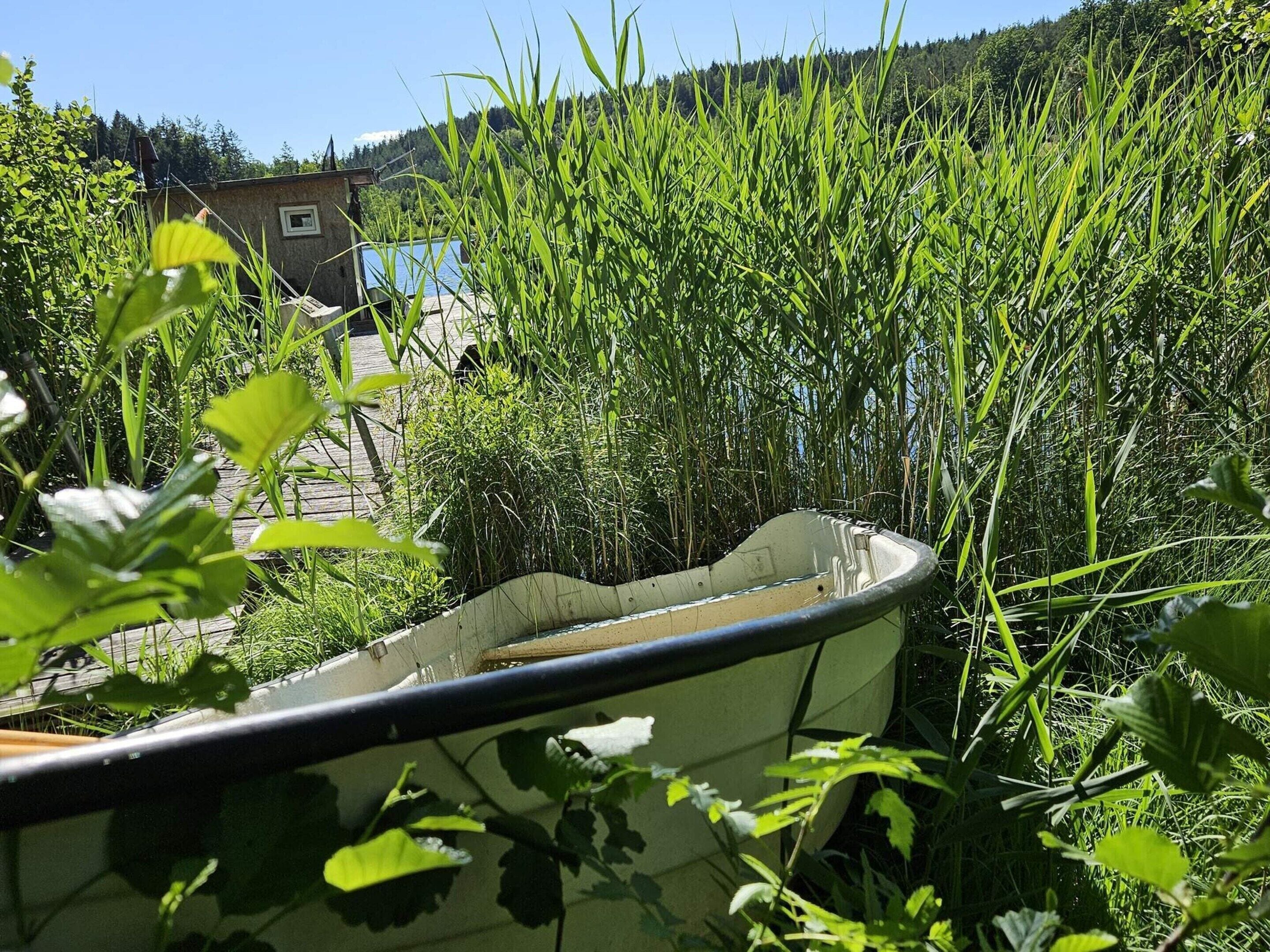 Un bateau, partiellement immergé, flotte sur l’eau, entouré d’une végétation dense.