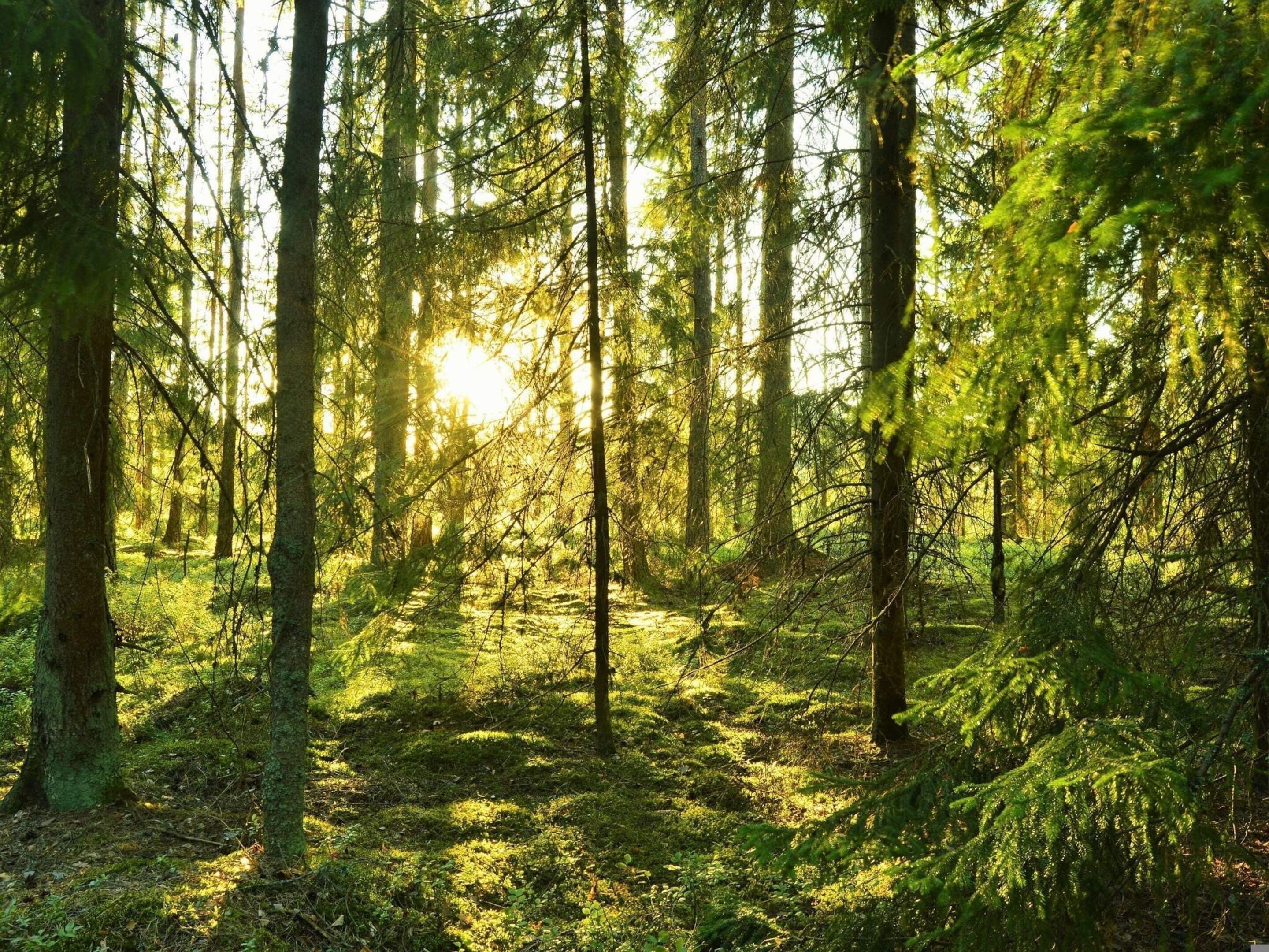 Hus | Exteriör