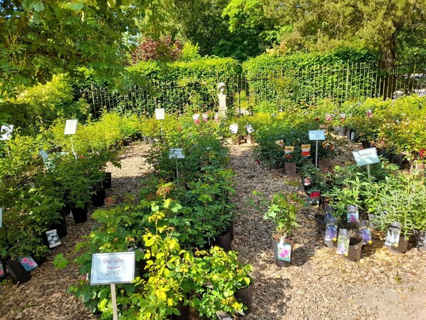 Apartamento | Vistas desde el alojamiento