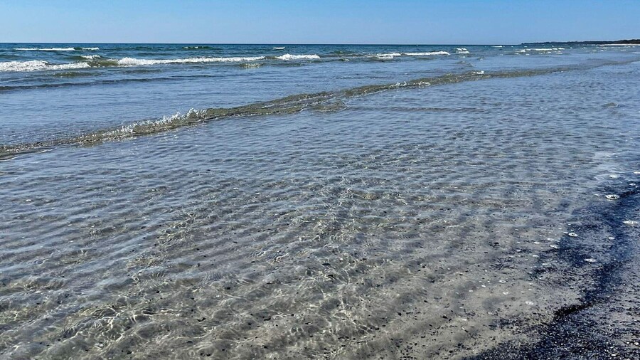 8 Person Holiday Home in Skivarp