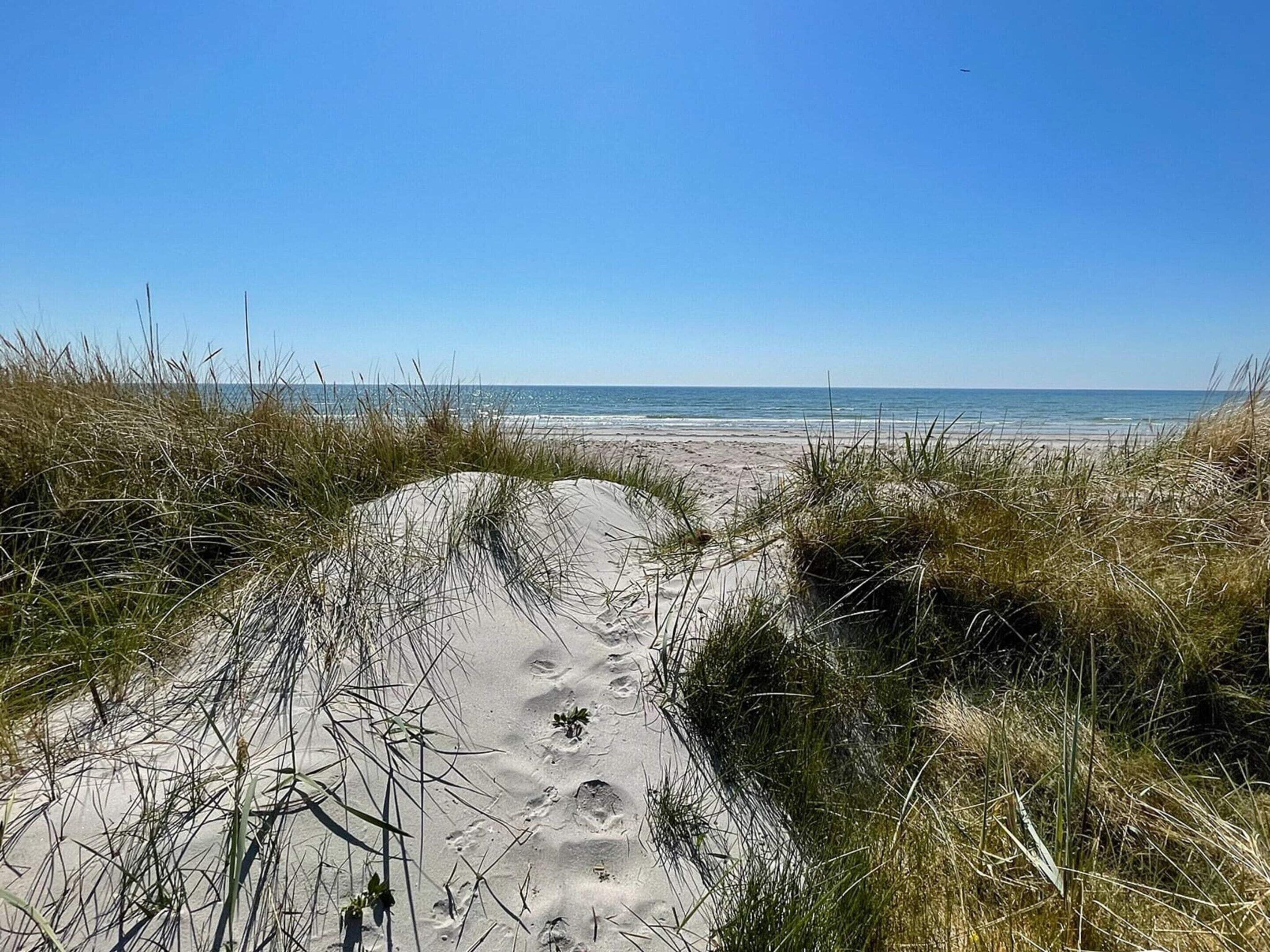A sandy pathway leading to a beach with grass on either side.