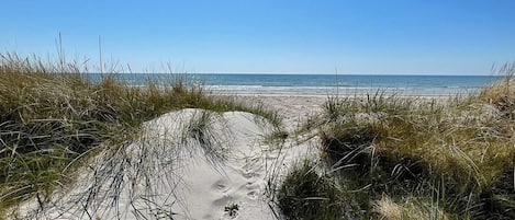 A sandy pathway leading to a beach with grass on either side.