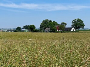 Ländliche Landschaft mit einem Feld voller Nutzpflanzen, einem Bauernhof und einigen Bäumen.