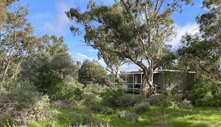 外観. One-Bedroom Studio - Studio Room With Gum Creek View