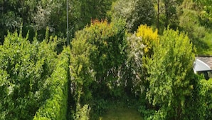 A lush garden with dense foliage and a pathway. - Borkum Ideal 71 A Comfortable Holiday Residence (Borkum)