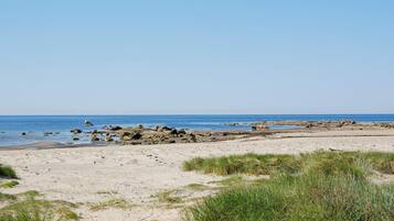 House | Beach
