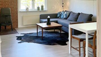 House | Living area | DVD player