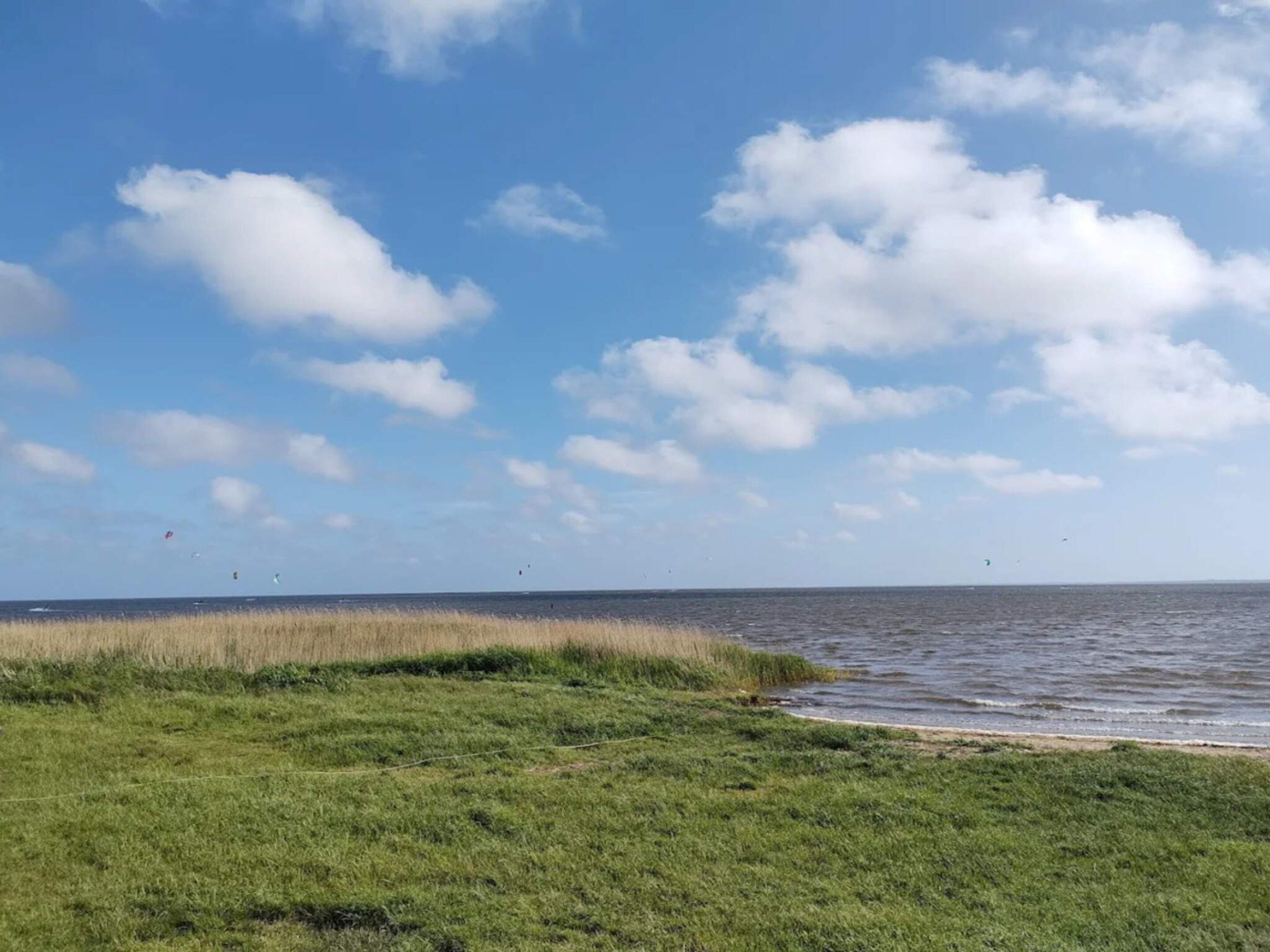 Eine Küstenlandschaft mit einer grasbewachsenen Vordergrund und Blick auf das Meer.