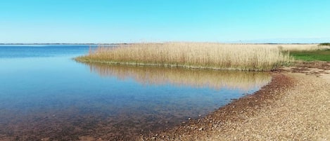 A calm body of water with a pebbly shore and tall grasses in the distance.