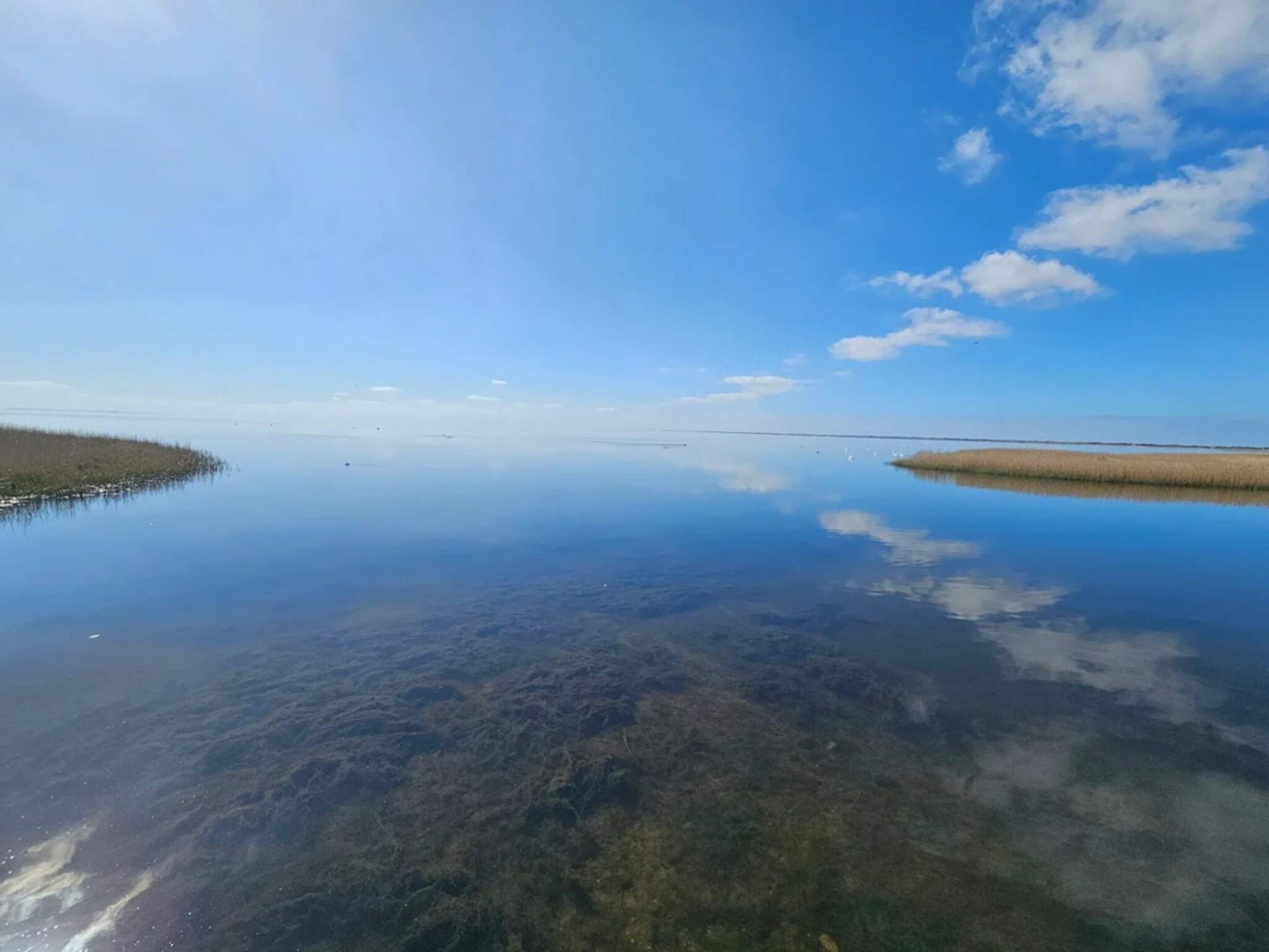 Water view