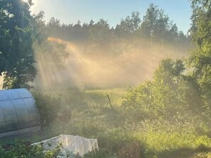 A greenhouse surrounded by dense vegetation and trees. - 4 Person Holiday Home in Nykvarn (Nykvarn)