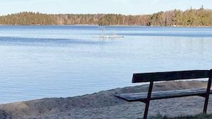 Un banc vora un llac tranquil amb un bosc al fons.