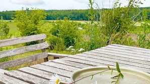 Un banc en bois sur lequel sont posés une assiette et deux marguerites, offrant une vue sur un paysage verdoyant.