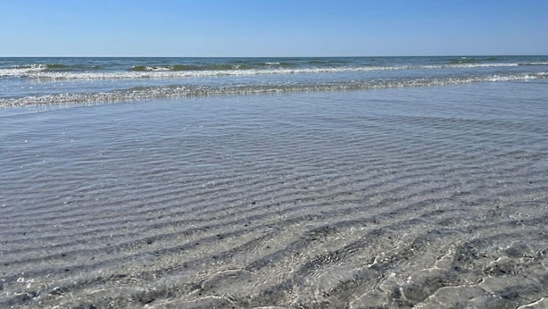 Una playa con agua cristalina y una orilla arenosa.