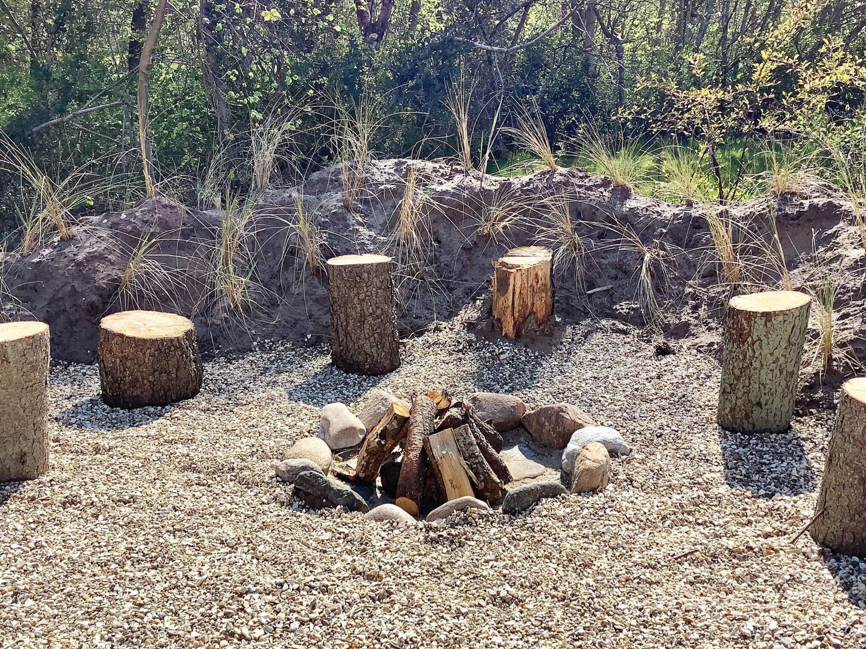 Un cadre naturel en plein air, avec un sol de gravier, une pile de bûches et plusieurs souches d’arbres.