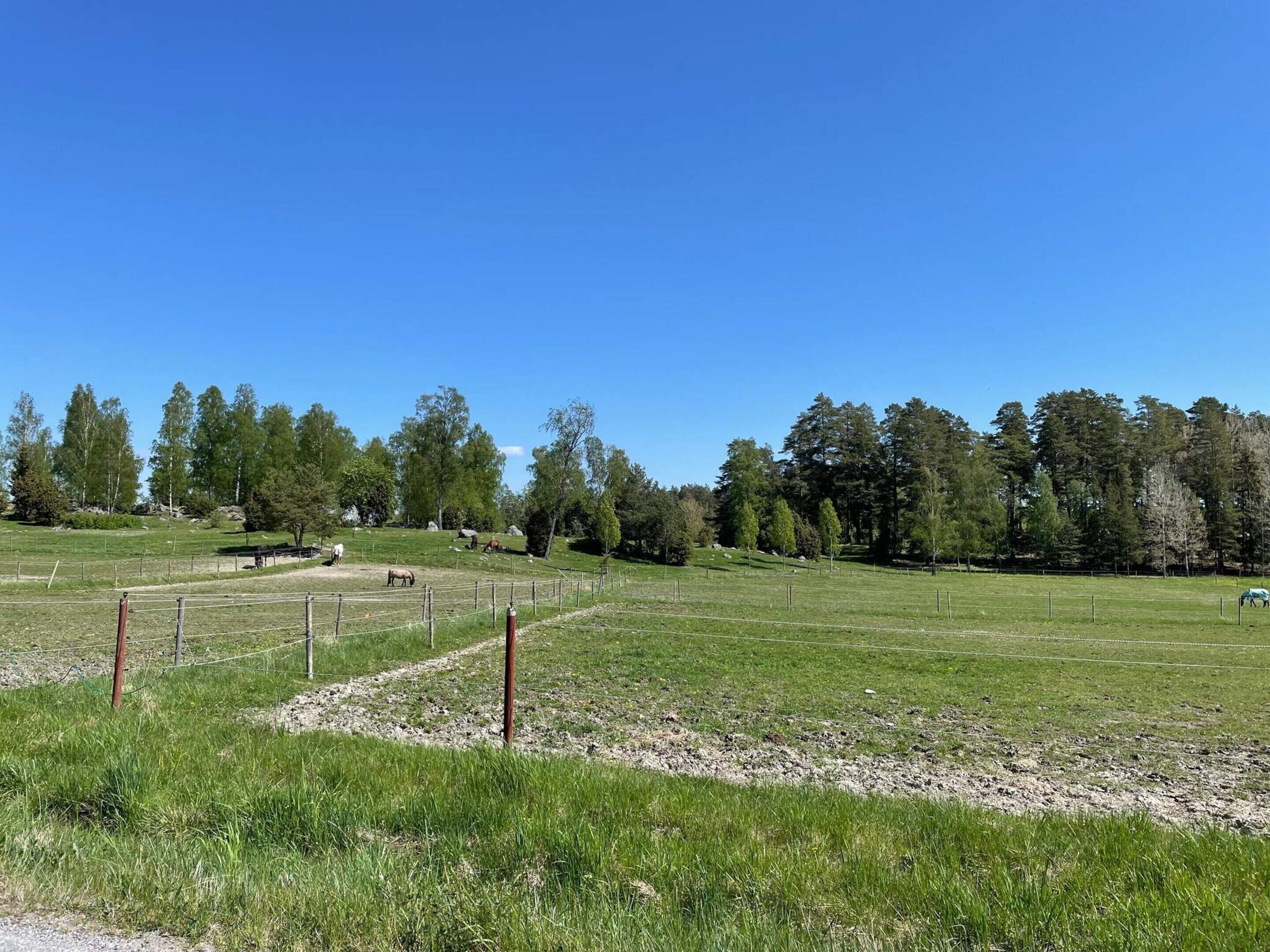 A fenced outdoor area with a dirt path, trees, and a clear blue sky.