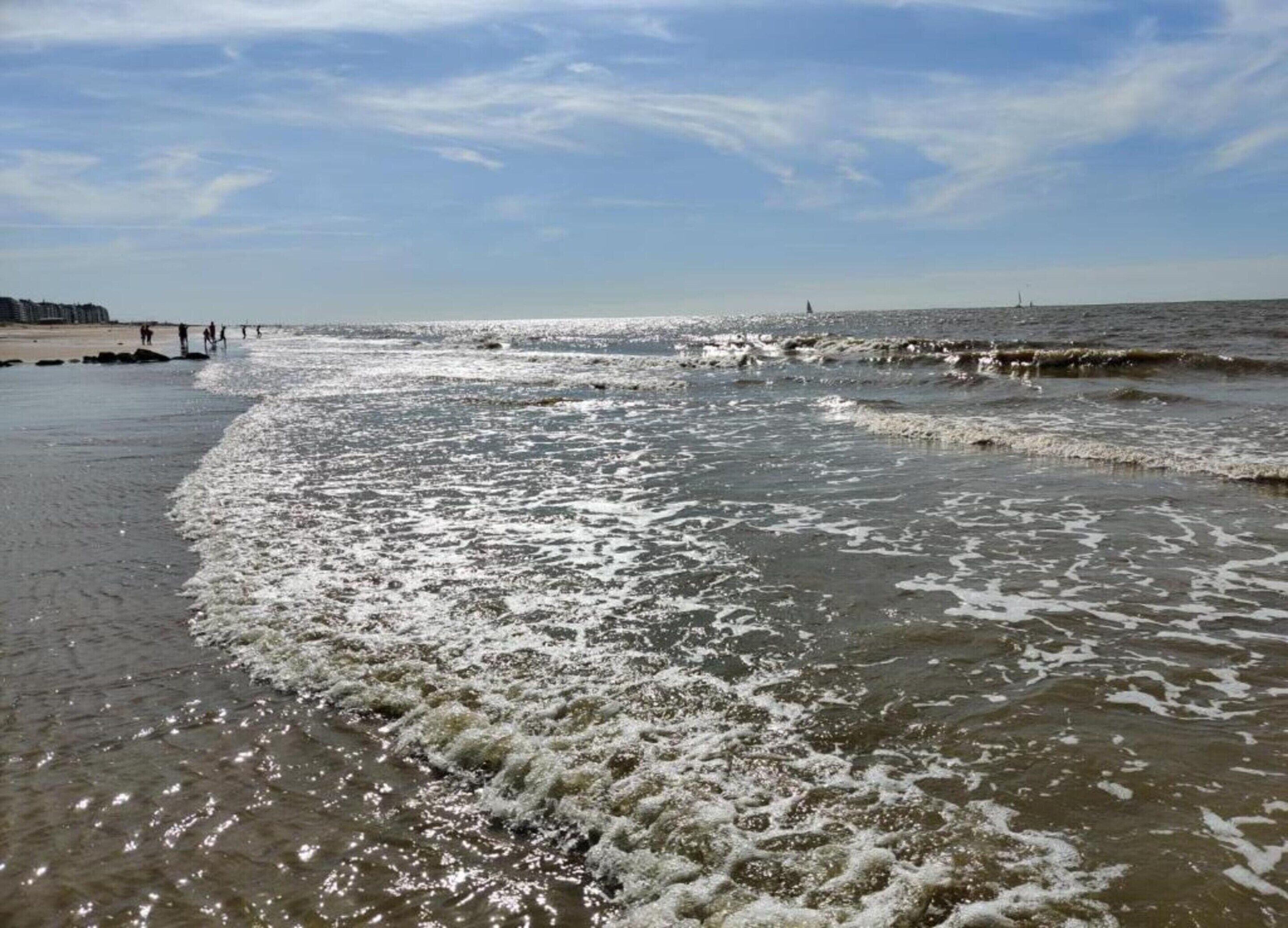 Chalé | Vista da propriedade