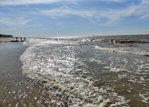 Chalet | View from property - Chalet in De Haan Near Sandy Beaches (De Haan)