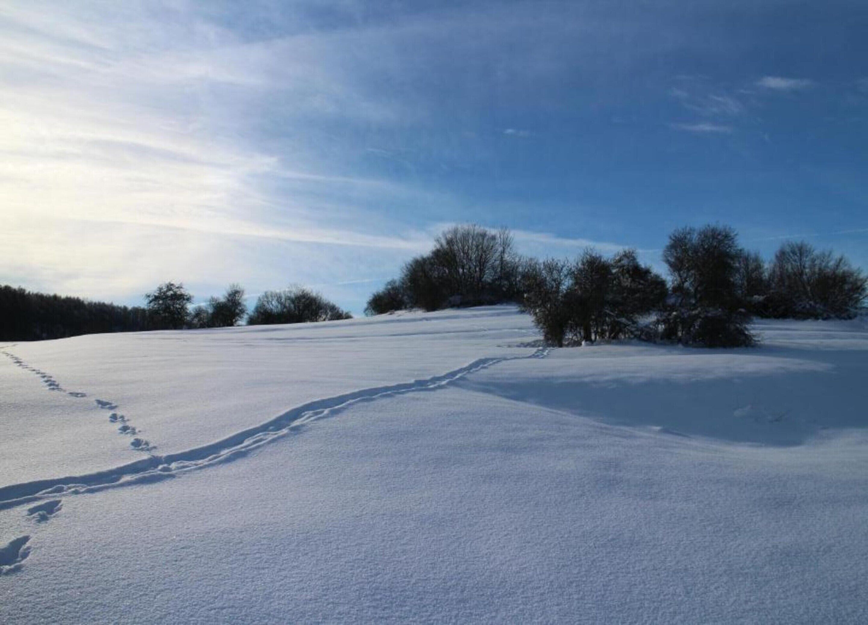 A snow-covered landscape with footprints leading through the field.