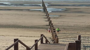 Un paseo marítimo de madera que conduce a una playa con vista despejada al océano.