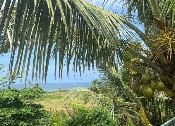 Apartment | View from property - Modern Beachside Apartment (Nieuwpoort)