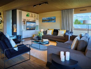 TV, fireplace, stereo