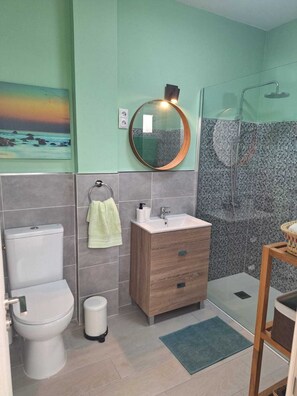 Douche, séchoir à cheveux, serviettes fournies