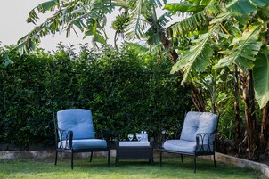 Two blue chairs with a small table between them, set on a grassy lawn with a dense green hedge in the background.