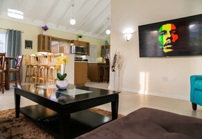 Televisión de pantalla plana, Netflix, servicios de streaming