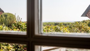 A view through a window of a garden with a variety of plants and a distant body of water. - Raantem Hüs Whg. 1 - Wattblick. Naturnah. Terrasse (Rantum)