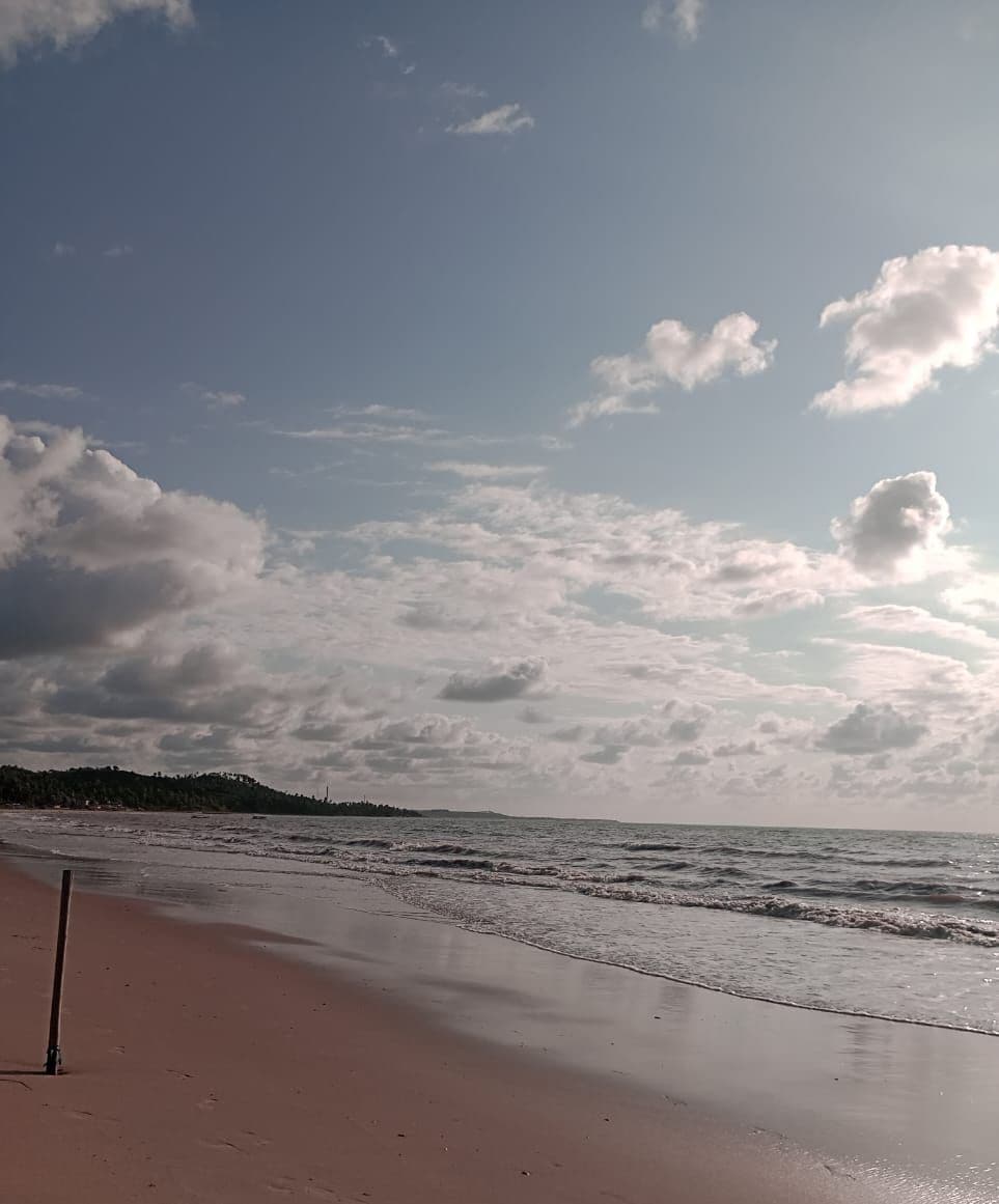 Una playa con cielo despejado y mar tranquilo.