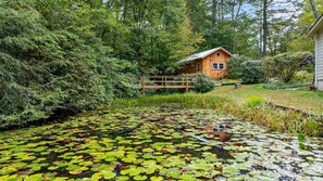Property grounds - Baby Bear's Den, Tiny Paradise (Highlands)