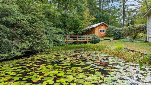 Baby Bear's Den, Tiny Paradise