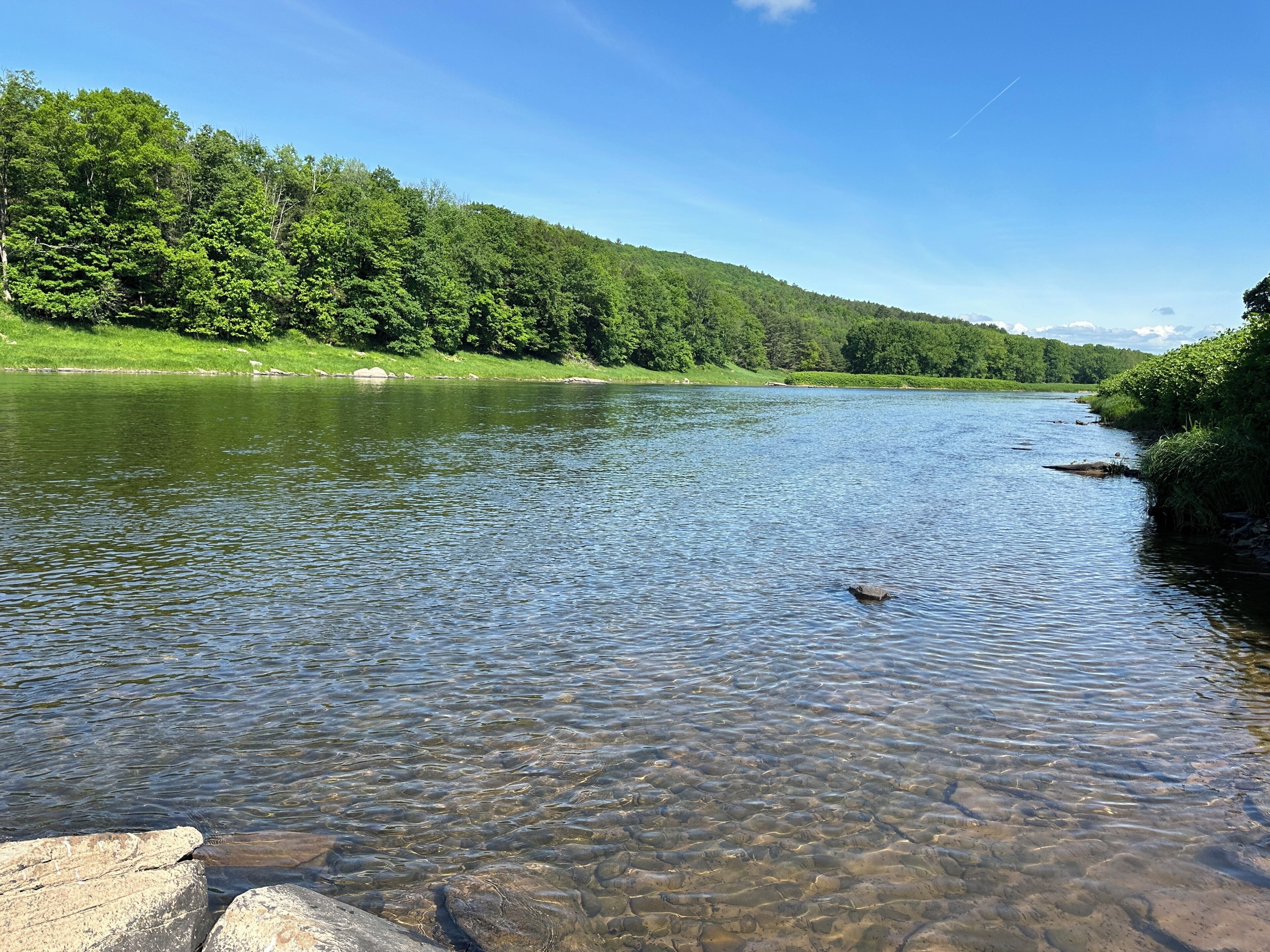A river with clear water, surrounded by lush green trees and hills.