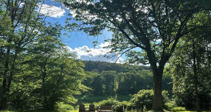 Riverfront Cabin Retreat on the Delaware, 5 mins from Narrowsburg, 2hrs from NYC