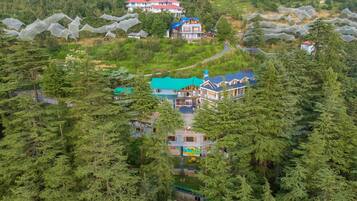 A large, multi-story building with a prominent blue roof, surrounded by dense forest.