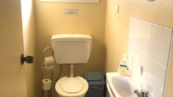 A small bathroom with a toilet, a sink, and a window.