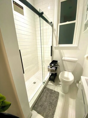 Shower, hair dryer, bidet, towels
