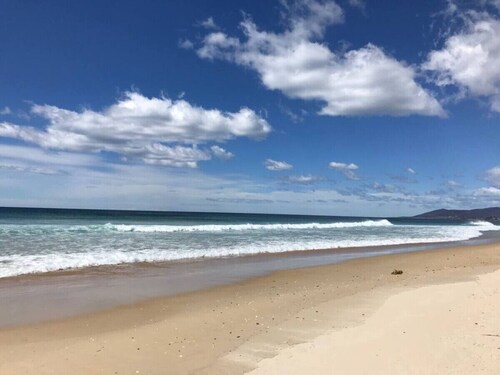 The Dunes - King Studio - 50m from Scamander Beach