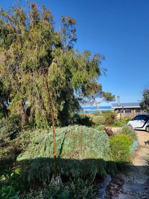 Property grounds - The Dunes - King Studio - 50m from Scamander Beach (Scamander)